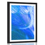 POSTER WITH MOUNT BEAUTIFUL DANDELION IN BLUE DESIGN - FLOWERS - POSTERS