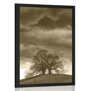 POSTER SEPIA LONELY TREES - BLACK AND WHITE - POSTERS