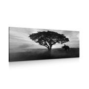 CANVAS PRINT ELEPHANT AT SUNRISE IN BLACK AND WHITE - BLACK AND WHITE PICTURES - PICTURES