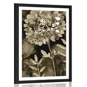 AFFICHE AVEC MONTURE DE BELLES FLEURS DANS UN DESIGN SÉPIA - NOIR ET BLANC - AFFICHES