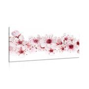 CANVAS PRINT CHERRY BLOSSOMS - PICTURES FLOWERS - PICTURES