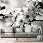 Fototapet floare de cireș în alb-negru