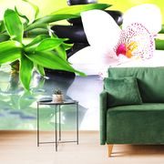 WALL MURAL JAPANESE ORCHID - WALLPAPERS FENG SHUI - WALLPAPERS