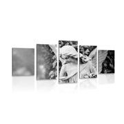 5-PIECE CANVAS PRINT ANGEL STATUE IN BLACK AND WHITE - BLACK AND WHITE PICTURES - PICTURES