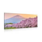 CANVAS PRINT BEAUTIFUL JAPAN - PICTURES OF NATURE AND LANDSCAPE - PICTURES