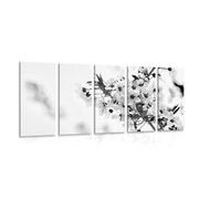5-dílný obraz květy třešně v černobílém provedení