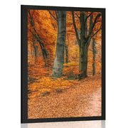 POSTER WALD IN DER HERBSTZEIT - NATUR - POSTER