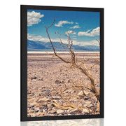 POSTER ARID LANDSCAPE - NATURE - POSTERS