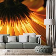 SELF ADHESIVE WALL MURAL GERBERA ON A DARK BACKGROUND - SELF-ADHESIVE WALLPAPERS - WALLPAPERS