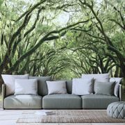 Wall mural trees in embrace