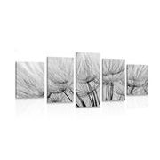 5-piece Canvas print dandelion seeds in black and white