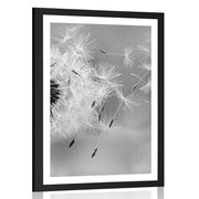 POSTER WITH MOUNT MAGICAL DANDELION IN BLACK AND WHITE - BLACK AND WHITE - POSTERS