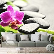 WALL MURAL STILL LIFE WITH A PURPLE ORCHID - WALLPAPERS FENG SHUI - WALLPAPERS