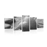 5-dílný obraz Zen kámen ve tvaru srdce v černobílém provedení