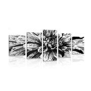 5-piece Canvas print exotic dahlias in black and white