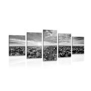 5 part picture of the sunrise over a meadow with tulips in black & white