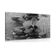 WANDBILD ORCHIDEE UND ZEN-STEINE IN SCHWARZ-WEISS - SCHWARZ-WEISSE BILDER - BILDER