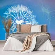 SELF ADHESIVE WALLPAPER DANDELION ON A BLUE BACKGROUND - SELF-ADHESIVE WALLPAPERS - WALLPAPERS