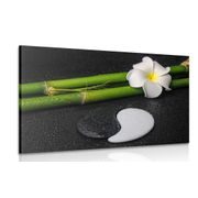 CANVAS PRINT SPA STILL LIFE AND YIN AND YANG STONES - PICTURES FENG SHUI - PICTURES