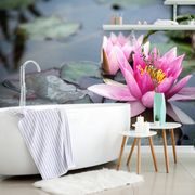 WALL MURAL PINK LOTUS FLOWER - WALLPAPERS FLOWERS - WALLPAPERS