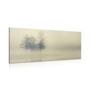 IMPRESSION SUR TOILE ARBRES DANS LE BROUILLARD - IMPRESSION SUR TOILE DE NATURE ET PAYSAGE - IMPRESSION SUR TOILE