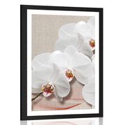 AFFICHE AVEC MONTURE ORCHIDÉE BLANCHE SUR TOILE - FLEURS - AFFICHES