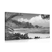 CANVAS PRINT BEAUTIFUL BEACH ON THE ISLAND OF LA DIGUE IN BLACK AND WHITE - BLACK AND WHITE PICTURES - PICTURES