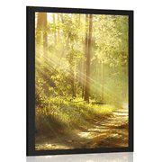 POSTER MIT PASSEPARTOUT SONNENSTRAHLEN IM WALD - NATUR - POSTER