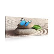 Picture of a blue butterfly on a Zen stone