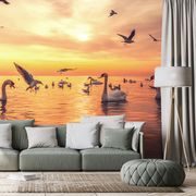 SELF ADHESIVE WALLPAPER SWANS IN THE LAKE - SELF-ADHESIVE WALLPAPERS - WALLPAPERS