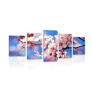 5-piece Canvas print cherry blossom