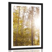 AFFICHE AVEC MONTURE FORÊT AUX COULEURS D'AUTOMNE - NATURE - AFFICHES