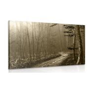 WANDBILD WEG IN DEN WALD IN SEPIA - BILDER VON NATUR UND LANDSCHAFT - BILDER