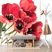 WALL MURAL BLOOMING RED TULIPS - WALLPAPERS FLOWERS - WALLPAPERS