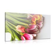 Picture bouquet of tulips in bright colors