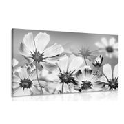 CANVAS PRINT SUMMER FLOWERS IN BLACK AND WHITE - BLACK AND WHITE PICTURES - PICTURES
