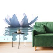 TAPET FLOARE DE LOTUS - TAPET FENG SHUI - TAPETURI