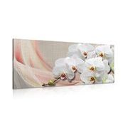 TABLEAU SUR TOILE – ORCHIDÉE BLANCHE SUR TOILE - TABLEAUX DE FLEURS - TABLEAUX