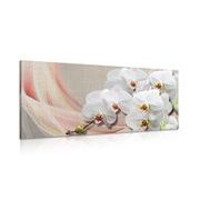 CANVAS PRINT WHITE ORCHID ON A CANVAS - PICTURES FLOWERS - PICTURES