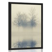 Poster copaci în ceață