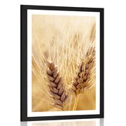 POSTER – CAMPO DI GRANO - NATURA - POSTER