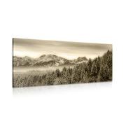 CANVAS PRINT FROZEN MOUNTAINS IN SEPIA - BLACK AND WHITE PICTURES - PICTURES