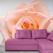 SAMOLEPÍCÍ FOTOTAPETA RŮŽE V BROSKVOVÉM ODSTÍNU - SAMOLEPÍCÍ TAPETY - TAPETY