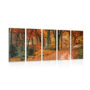 5-PIECE CANVAS PRINT FOREST IN AUTUMN - PICTURES OF NATURE AND LANDSCAPE - PICTURES