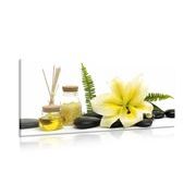 Canvas print lily and wellness still life