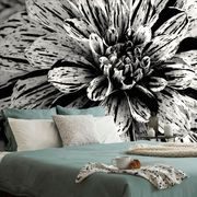 Selbstklebende Fototapete Schwarz-weiße exotische Dahlie