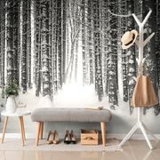 SELF ADHESIVE WALL MURAL BLACK AND WHITE FOREST COVERED IN SNOW - SELF-ADHESIVE WALLPAPERS - WALLPAPERS