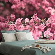 WALL MURAL DETAILED CHERRY BLOSSOMS - WALLPAPERS NATURE - WALLPAPERS