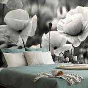 SELF ADHESIVE WALL MURAL BLACK AND WHITE FIELD OF WILD POPPIES - SELF-ADHESIVE WALLPAPERS - WALLPAPERS