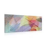 TABLEAU SUR TOILE – VEINES SUR FEUILLES COLORÉES - TABLEAUX DE LA NATURE ET DES PAYSAGES - TABLEAUX